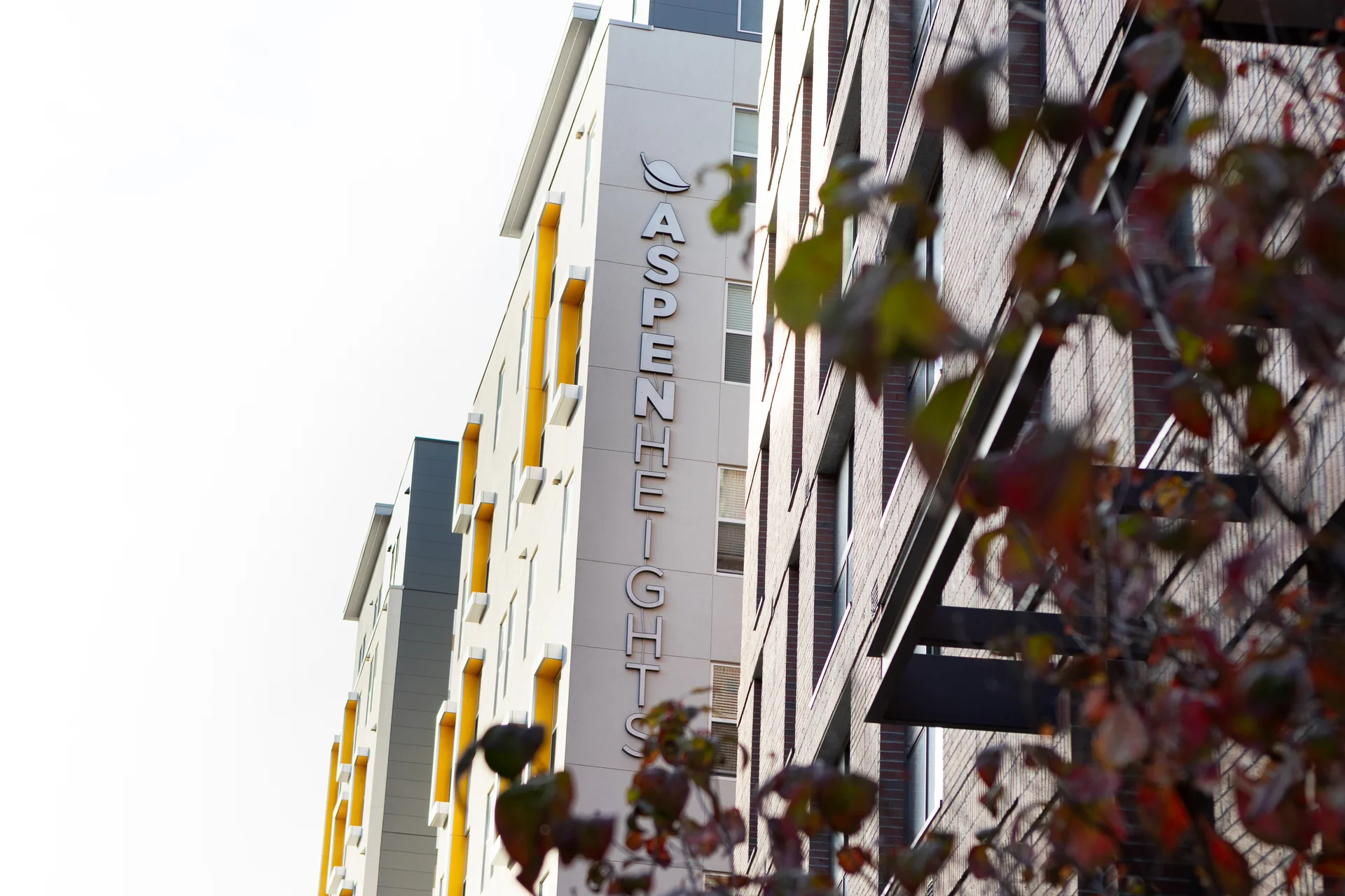 Aspen Heights image 4